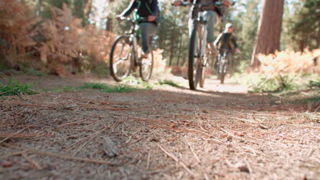 four friends riding past on bikes in a forest, low angle