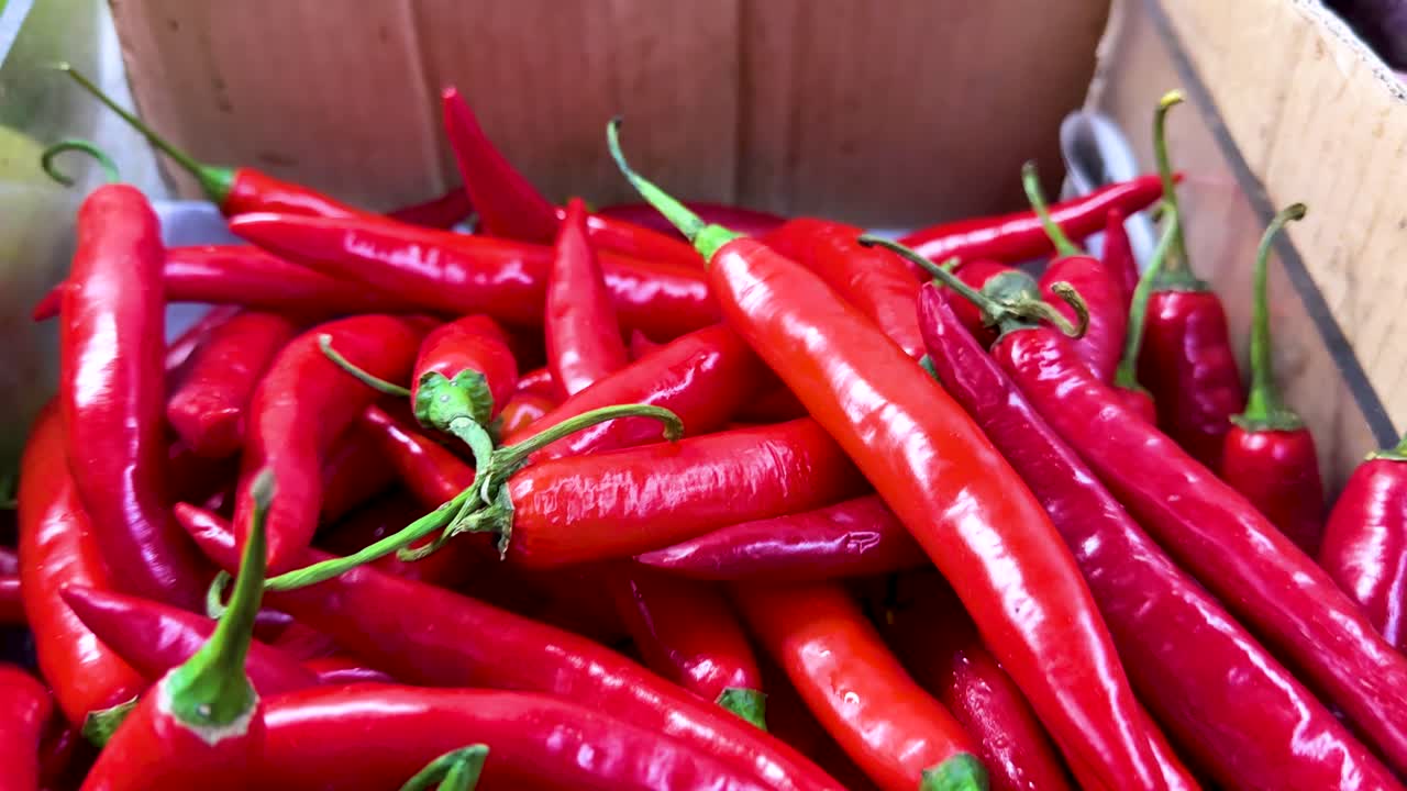 A dynamic close-up view of vibrant red chilies in a market box, with natural lighting and slight camera movement emphasizing freshness and color