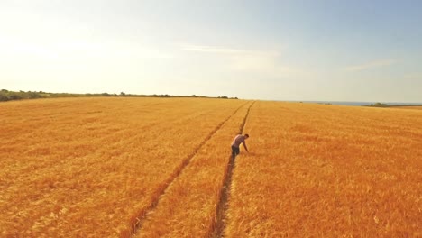 Aerial-view-of-farmer-walking-through-his-fields