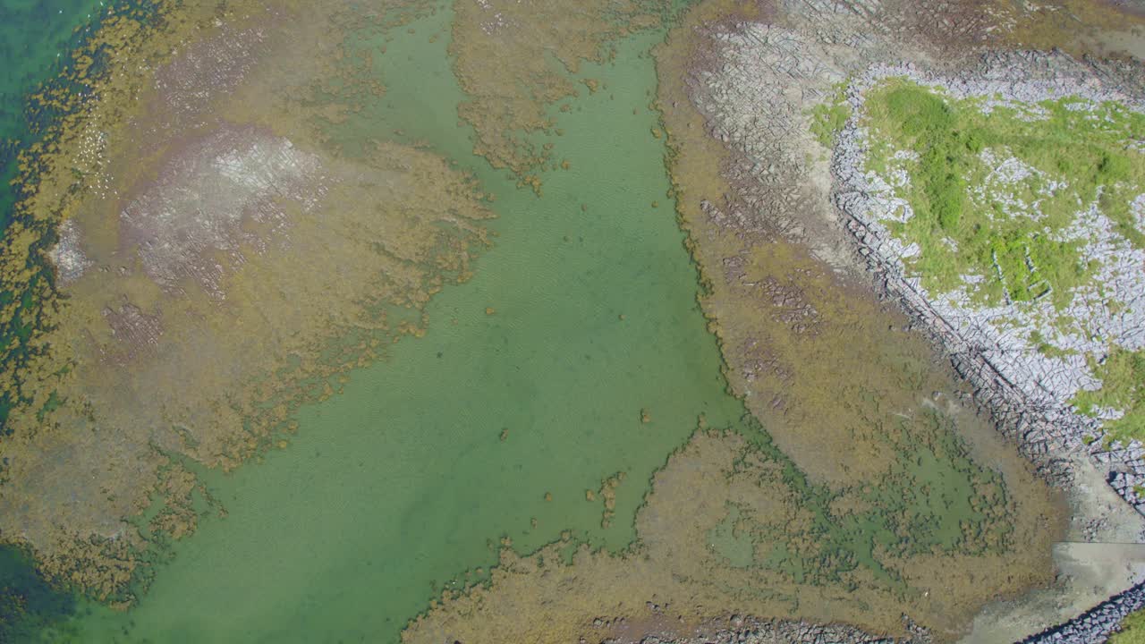 irlanda vía atlántica salvaje, aves marinas volando en la costa