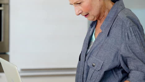 Senior-woman-using-the-laptop-at-the-counter