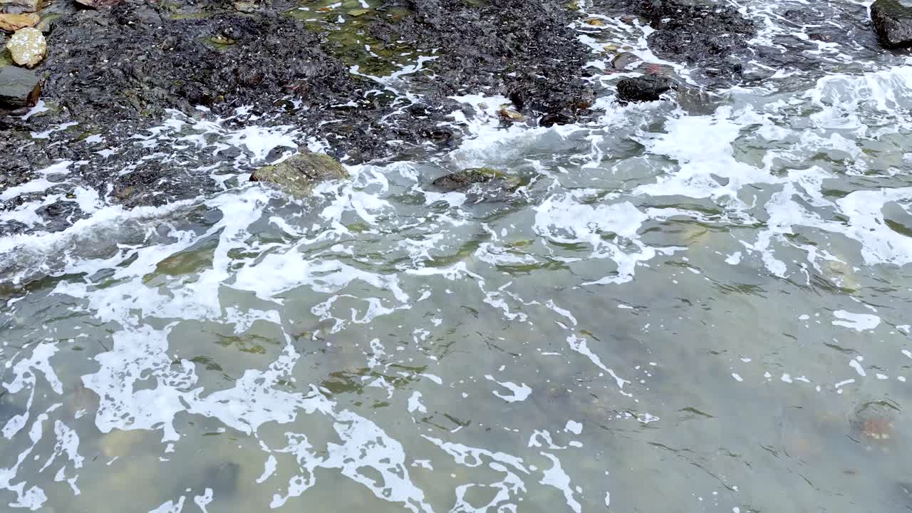 Foamy ocean waves crash over rocks on a tropical shoreline, captured in steady overhead daylight