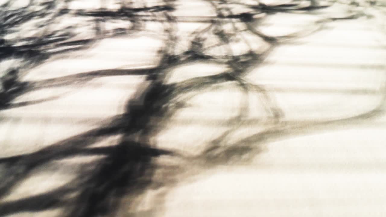 배경으로 빛과 그림자의 기하학적 놀이