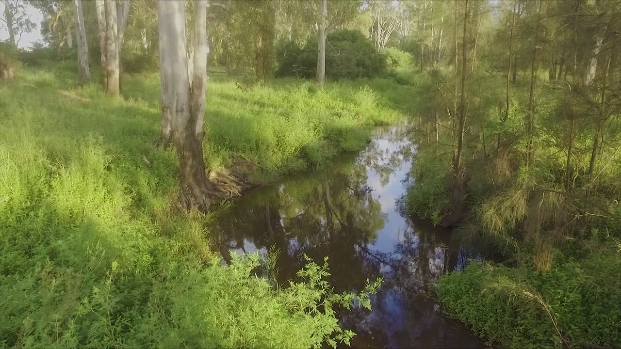 Smooth dolly shot moving through a peaceful and lush forest glade with peaceful river catching the early morning sun