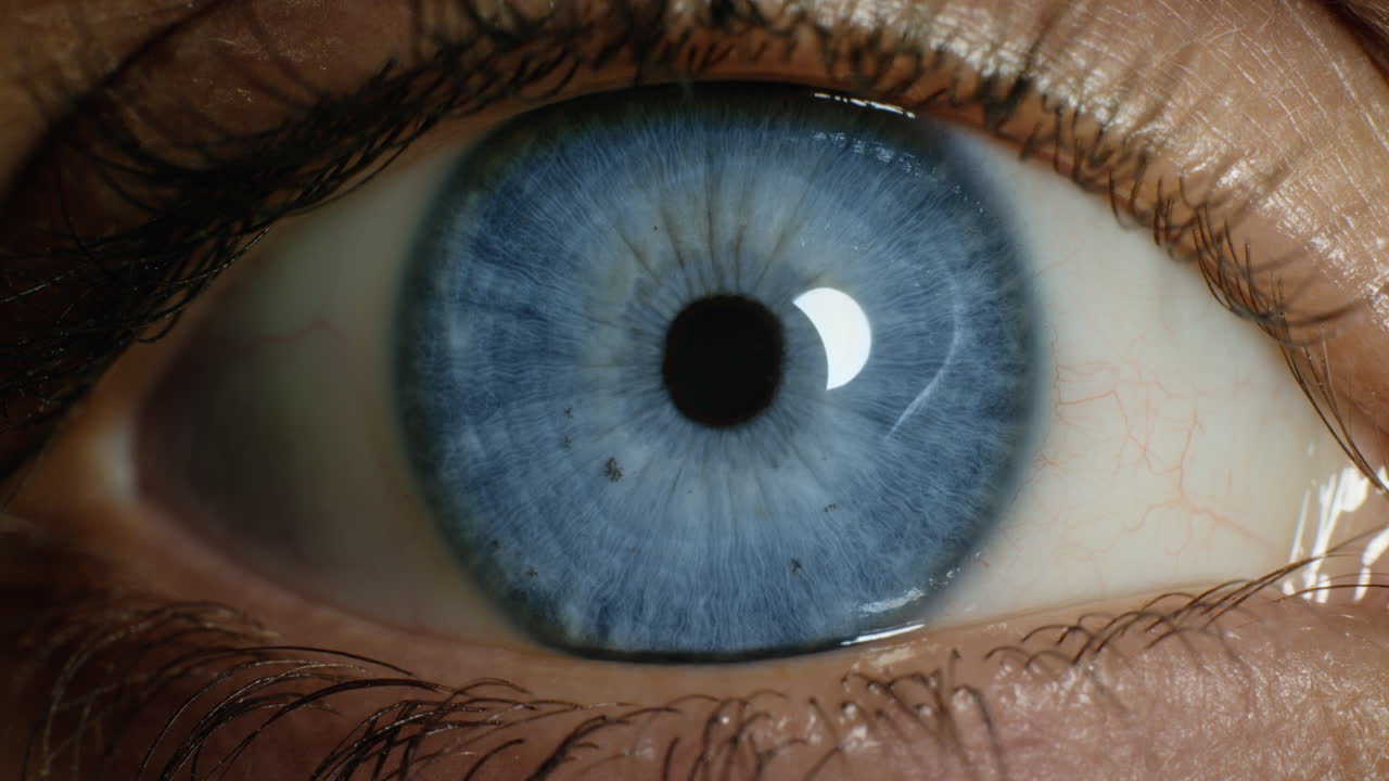 아이리스 광학 개념에 반사되는 빛으로 수축하는 클로즈업 매크로 파란 눈