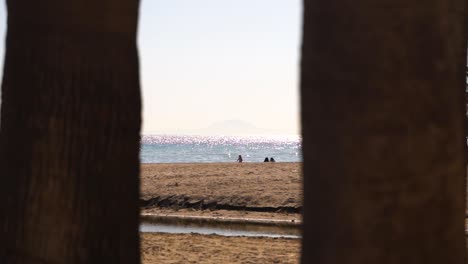 Interessanter-Strandblick-Zwischen-Zwei-Bäumen-Auf-Menschen-Und-Meer-In-Zeitlupe