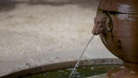 el agua fluye de la boca de la fuente de cerámica