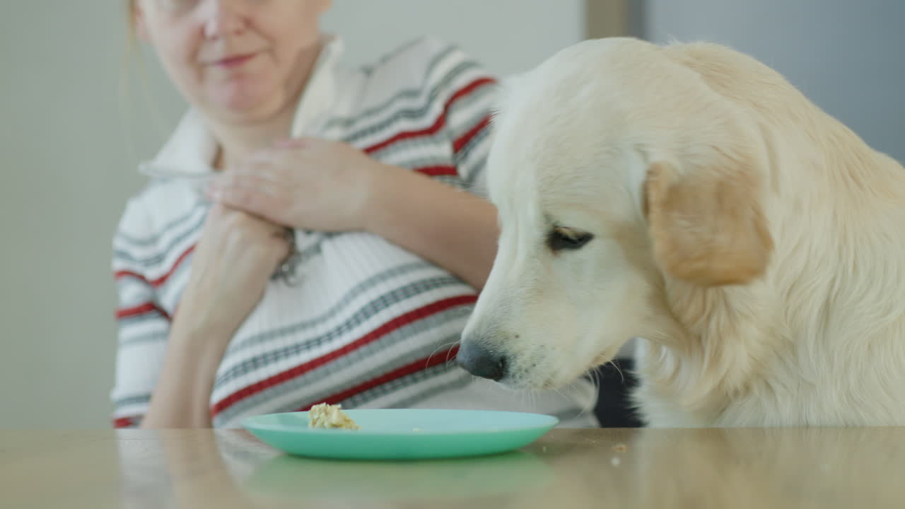 Vrouw en hond tijdens etenstijd