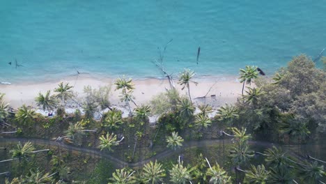 coastline turquoise water, dream beach, palm trees