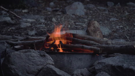 wild camping bonfire campfire in remote rural trekking travel natural park destination, outdoor survival experiences