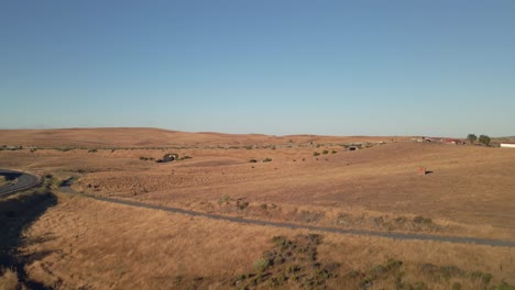 Aerial-forward-view-of-horizon-over-a-deserted-field-near-the-highway