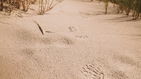 Captura-De-Pantalla-De-Una-Huella-De-Un-Excursionista-En-Una-Duna-De-Arena