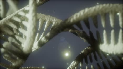 double helical structure of dna strand close-up animation