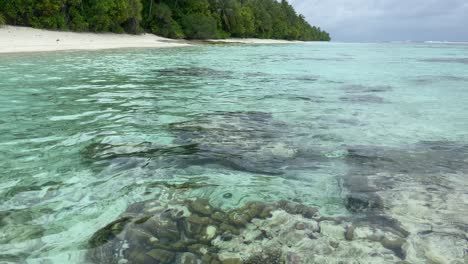 coral rocks seem through clear tropical waters