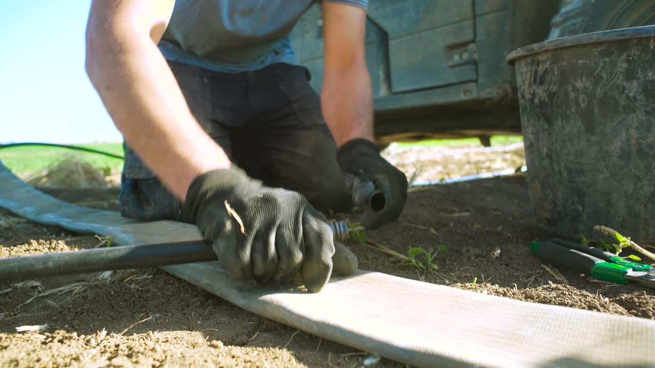 granjero instala un sistema de goteo en un campo de maíz-1