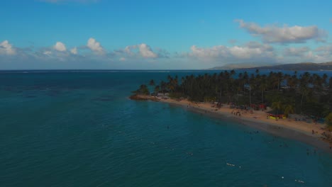 imágenes de drones de un increíble punto de palomas ubicado en la isla caribeña de tobago