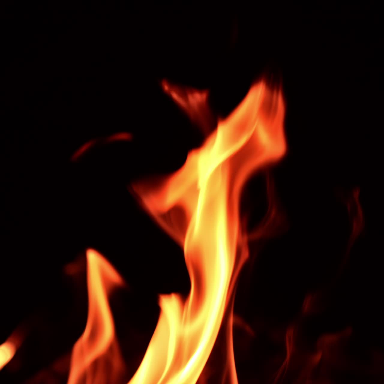 Long tongues of flame licking the darkness. Isolated campfire burning. Close up