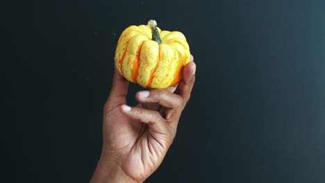 close-up of a hand holding a small pumpkin