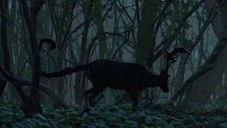 mythical deer with scorpion tail in a dark forest
