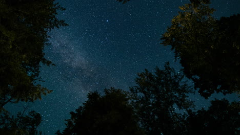 Lapso-De-Tiempo-De-Las-Copas-De-Los-árboles-Mientras-Las-Estrellas-Y-La-Vía-Láctea-Se-Mueven-A-Través-Del-Cielo-Nocturno