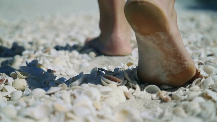 Walking adult bare feet starting step with heel lifting, pressing into pale shells on sunlit beach