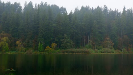 heavy rain falls on a northwest lake in the forest, creating ripples on the water’s surface, as tall trees sway in the wind, and the misty atmosphere envelops the tranquil, natural setting