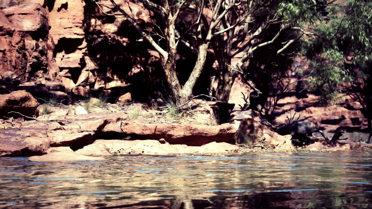Beautiful riverbank under a bright sun with rocky cliffs and green foliage