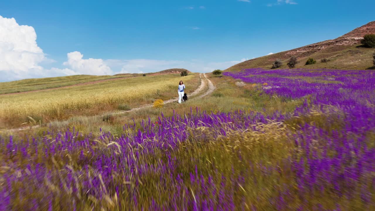 mujer caminando con su perro en el sendero de la montaña en un día soleado de verano, concepto de aventura natural, viajes al aire libre