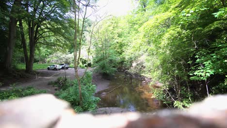 aparcamiento turístico en el bosque junto al río