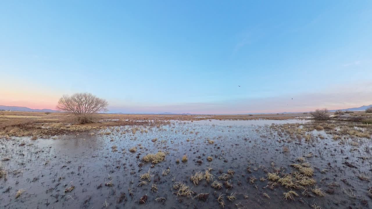 Birds flying over a frozen pond in Whitewater Draw Arizona.