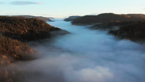 aerial fly over above thick fog shrouding forested mountains at sunrise