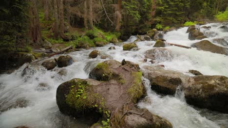 Río-De-Montaña-En-El-Bosque-En-Cámara-Lenta.-Hermoso-Paisaje-De-Vida-Silvestre.