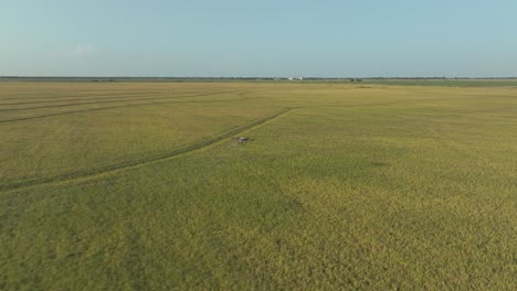 Una-Toma-De-Seguimiento-De-Un-Dron-Agrícola-Dji-Rociando-Pesticidas-O-Fertilizantes-En-Un-Cultivo-Debajo-En-Texas