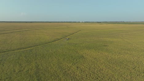 un disparo de seguimiento de un avión no tripulado agrícola dji rociando pesticidas o fertilizantes en los cultivos a continuación en texas