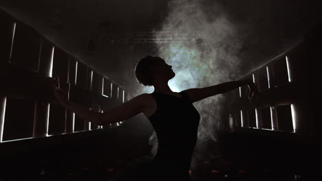 movimiento lento: primer plano de las piernas de la bailarina en las puntas y movimiento suave de la cámara a lo largo del eje vertical. retrato de una bailarina