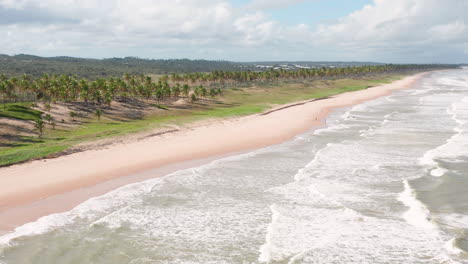 Aerial-view-of-the-Imbassai-beach-and-a-large-green-area-of-palm-trees,-Imbassai,-Bahia,-Brazil