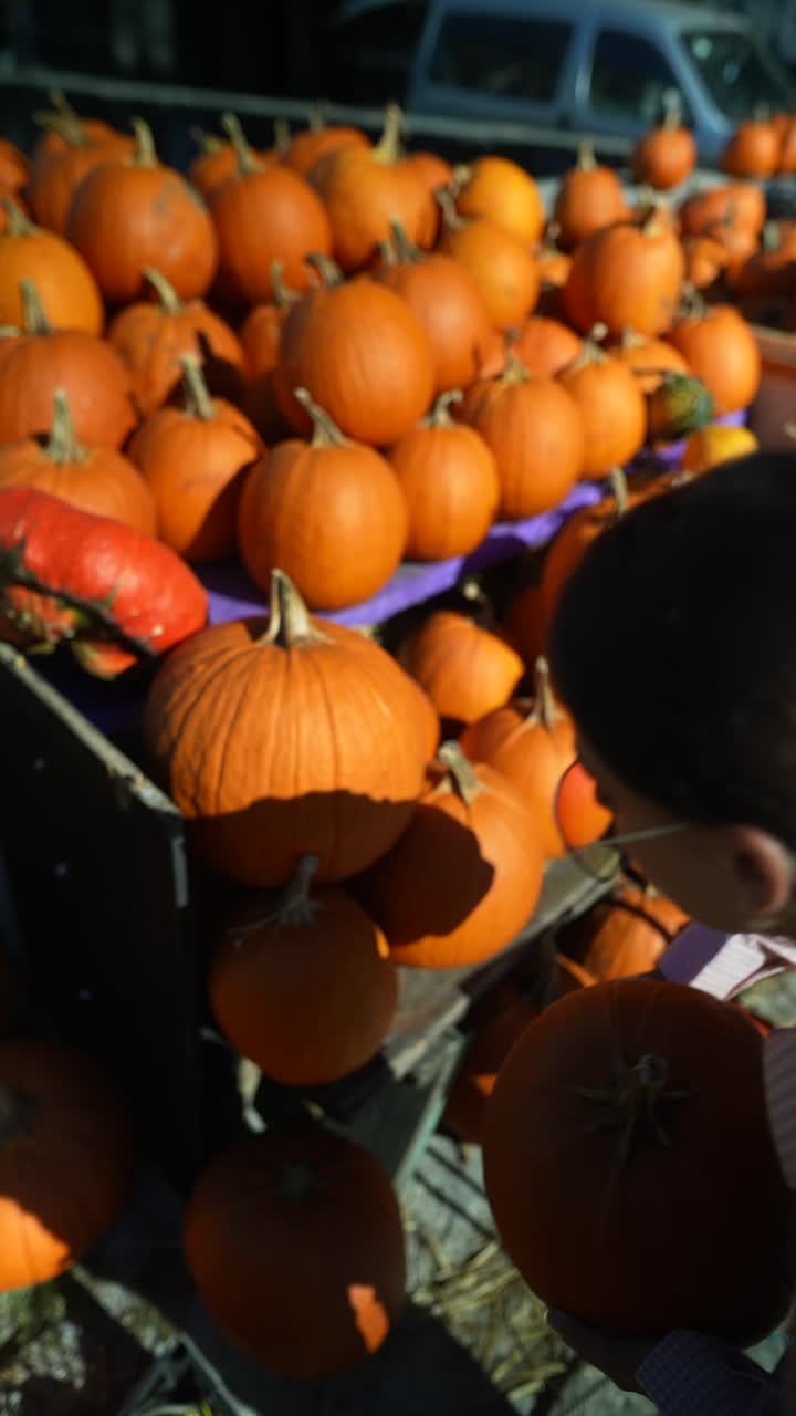 mujer mirando calabazas en un mercado de cosecha de otoño