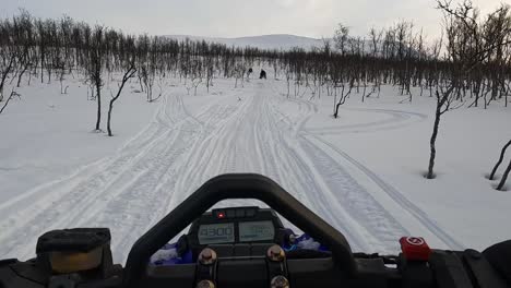 Paseo-En-Bicicleta-De-Nieve-En-Noruega-Durante-El-Invierno-Por-La-Mañana-Cruzando-La-Línea-De-árboles