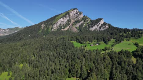 fly over green field surrounded by pine tree forest highland scenic landscape and a rock mountain in background in a sunny day with blue sky in swiss switzerland nature wooden cabin obersee nafels