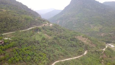 coffee plantation in the bolivian mountain jungle