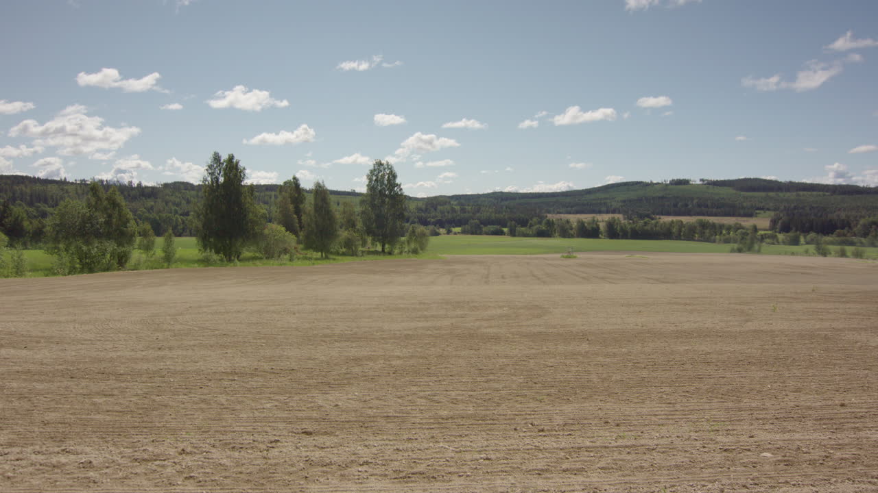 timelapse a largo plazo de un campo arado que se vuelve verde con cultivos