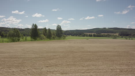 long term timelapse of a ploughed field turning green with crops