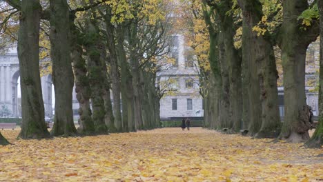 Mann-Und-Frau,-Die-Im-Jubelpark-In-Cinquantenaire-In-Der-Herbstsaison-Im-Zentrum-Von-Brüssel-Spazieren-Gehen-Und-Plaudern---Stabile-Kameraaufnahme