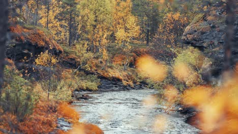 Flacher-Gebirgsfluss-Mit-Felsigen-Ufern-Im-Farbenfrohen-Herbstwald