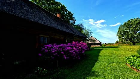 a traditional thatched-roof house with a lush garden
