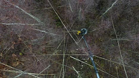 imágenes de drones giratorios de sierra cortando árboles