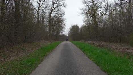 paar loopt langs de stoep asfalt pad door bladloze bosbomen met groen gras