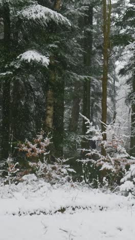 snowy forest scene with person