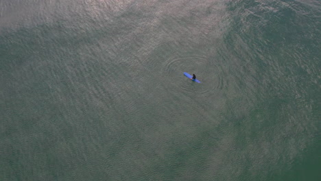 vista aérea sobre un surfista sentado en el tranquilo océano matutino admirando el amanecer mientras espera la ola perfecta en mermaid beach gold coast qld australia