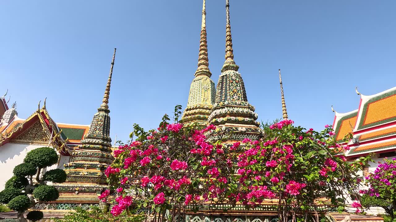 활기찬 꽃들이 포의 상징적인 첨탑을 둘러싸고 있습니다.